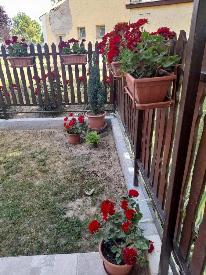 Thermal Apartman Tiszafuered Exterior foto